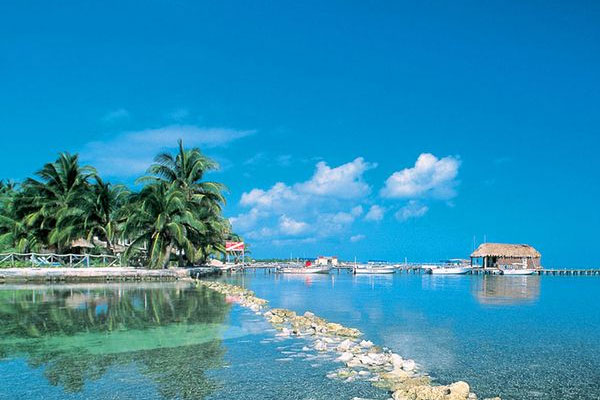 伯利茲公司注冊(cè)后能否在國內(nèi)直接經(jīng)營