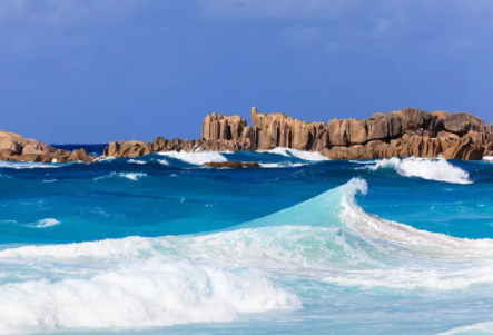 塞舌爾公司逾期年審有什么后果？