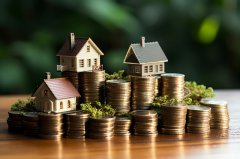 香港公司注冊資金后期修改：可行性與實操指南