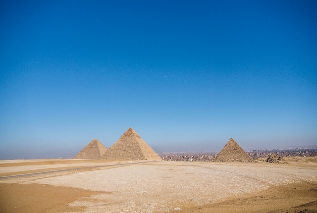 埃及公司股東董事要求詳解?