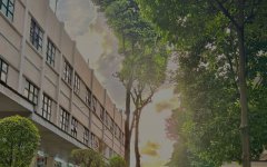 柬埔寨開工廠，難度究竟藏在哪?