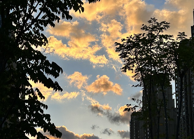 2025上半年，中國企業(yè)出海刷新全球副本：更猛、更強、更聰明