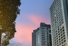 巴西公司注冊(cè)地址與巴西本地代理人要求詳解